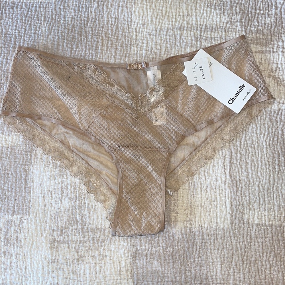 NWT Chantelle Parisian Allure Panty in Nude - Picture 3 of 6